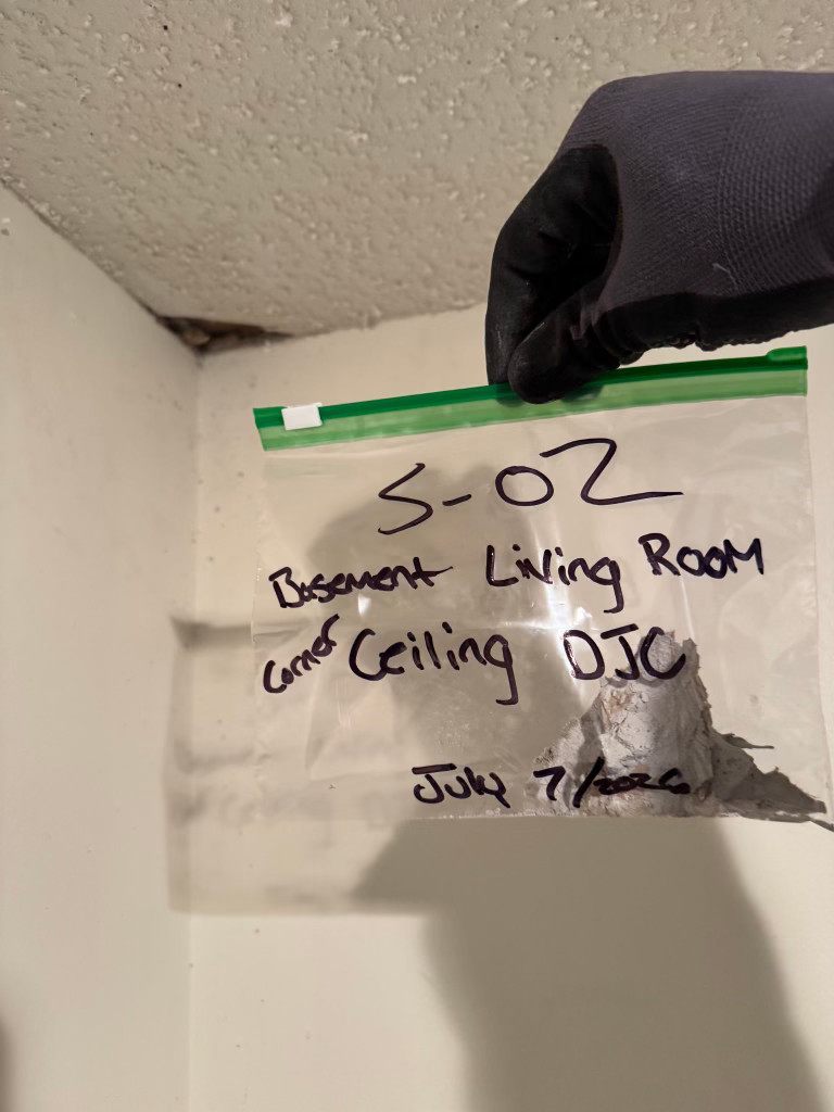 Gloved hand holding a labelled ceiling-material sample bag for asbestos testing